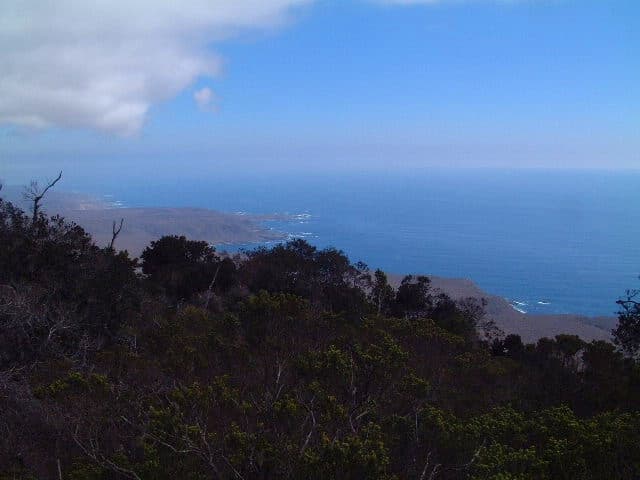 Bosque Fray Jorge
