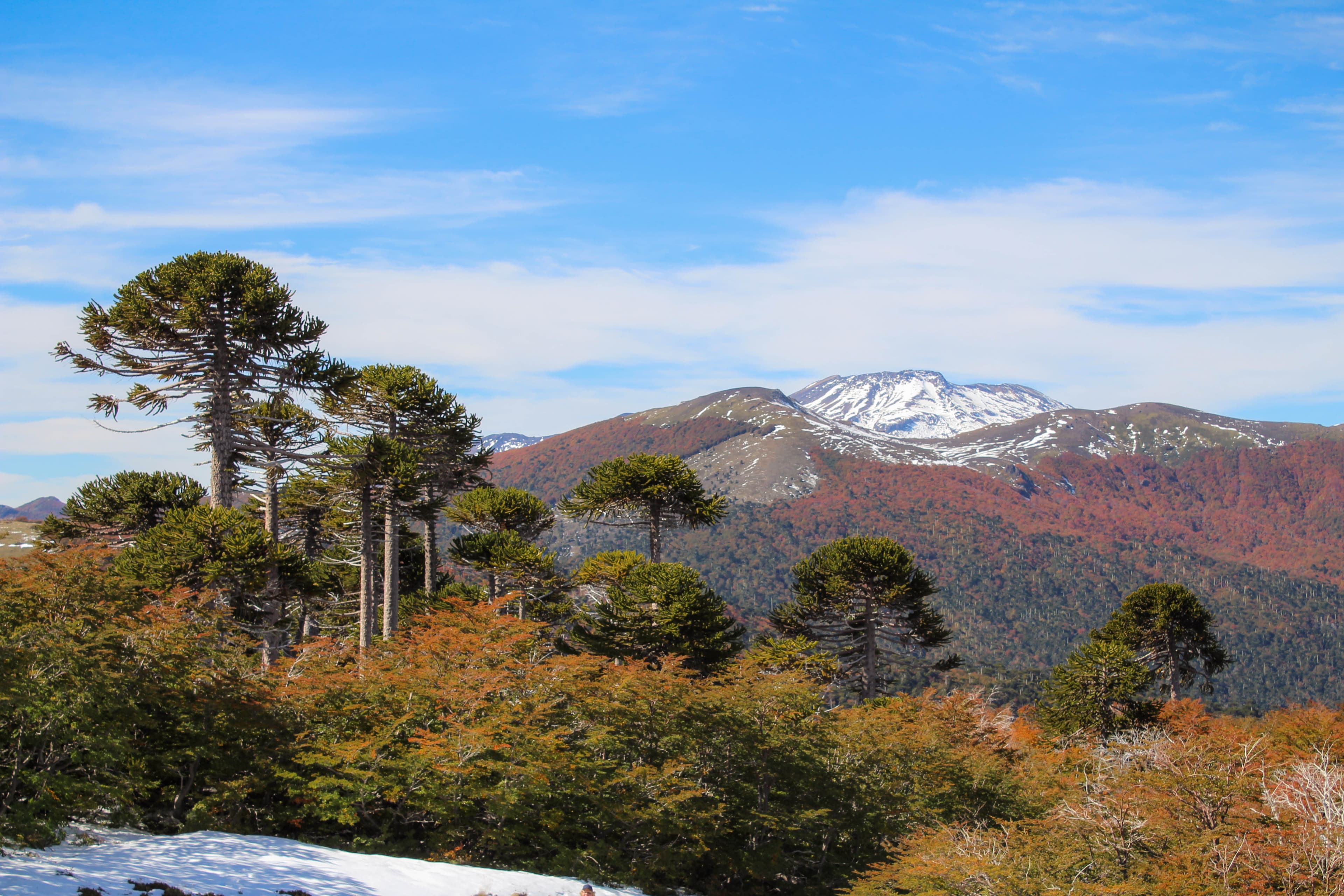 Villarrica