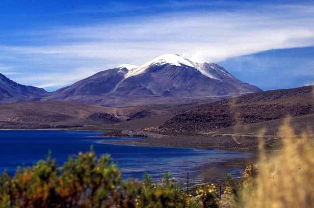 Las Vicuñas