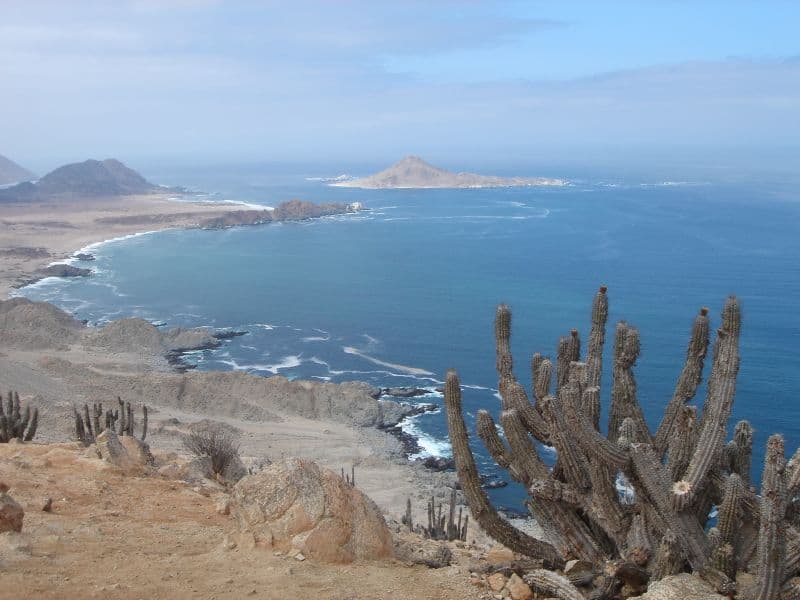 Pan de Azúcar