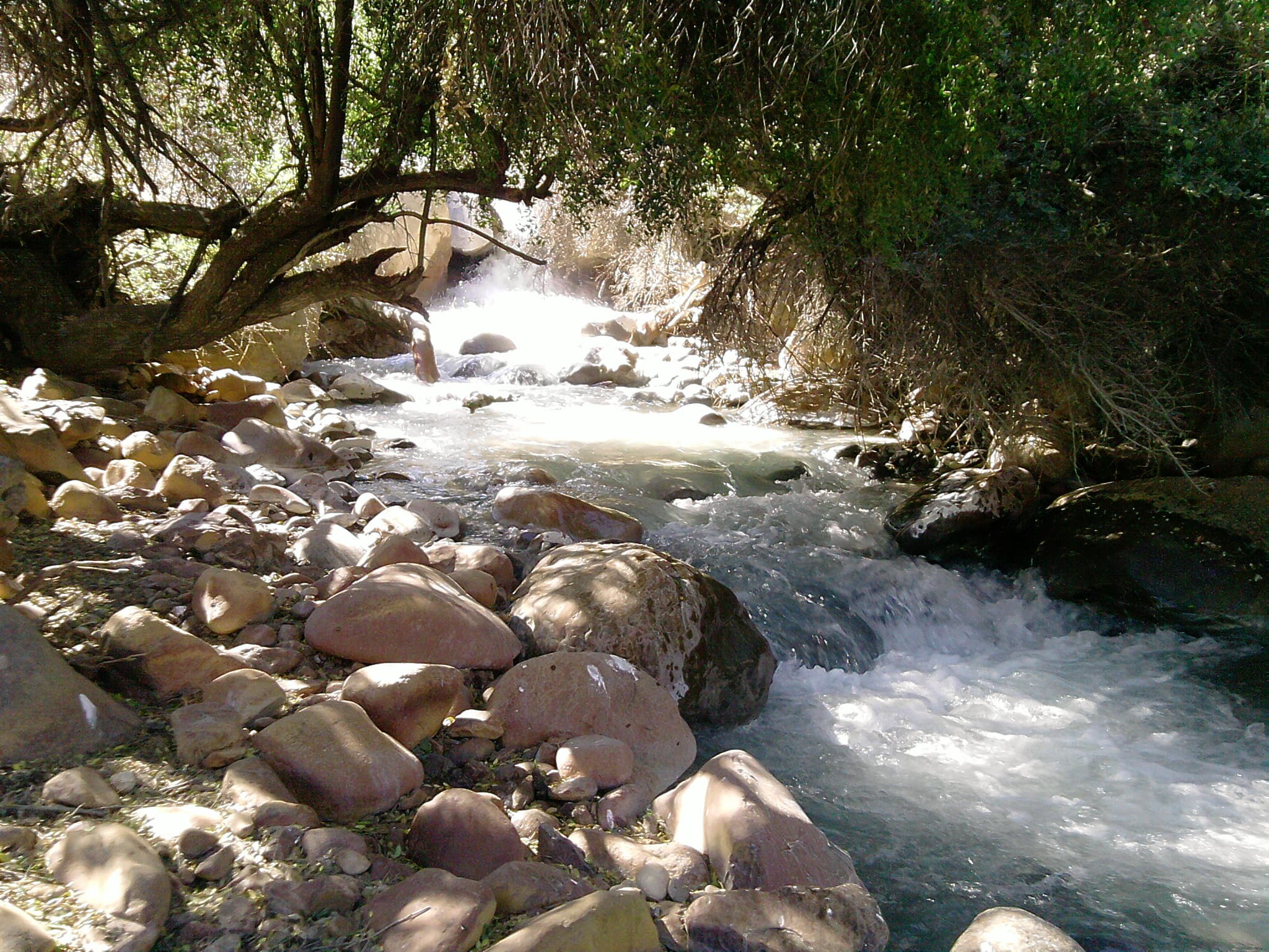 Santuario de la Naturaleza Yerba Loca
